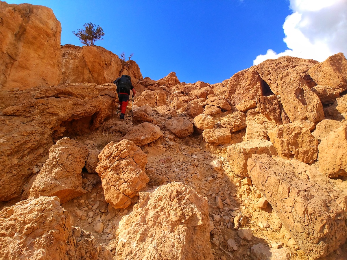 Formazioni rocciose rosse e canyon nei pressi di Petra incontrati da Laura e Marco